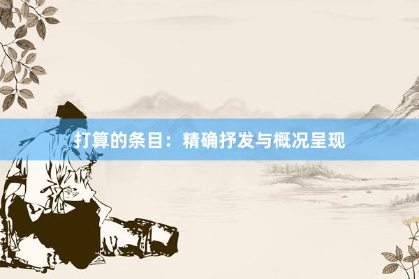 打算的条目：精确抒发与概况呈现